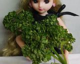 リカちゃん♡マカロニチーズパスタꕤ…˖*作り方18写真