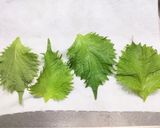 ブリと山芋のユッケ◎軍艦巻き風作り方4写真
