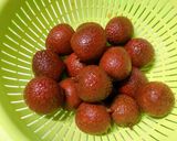 冷凍ライチのライチピューレ作り方1写真