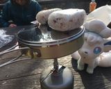 インド風本格ヨーグルトカレー作り方4写真
