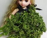 リカちゃん♡給食風 野菜スープꕤ…˖*作り方16写真