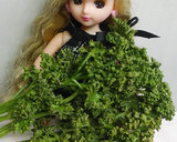リカちゃん♡給食風 野菜スープꕤ…˖*作り方16写真
