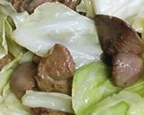 リカちゃん♡キャベツとレバー甘辛生姜焼き作り方17写真