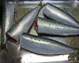 圧力鍋が無くっても！いわしの生姜煮作り方2写真