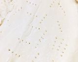 簡単!美味しいカラフルキッシュ!作り方2写真