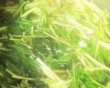 水菜とツナフレークの和風ほっこりスープ♪作り方5写真