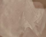 フライパンで作るタルトタタン(りんご)作り方4写真