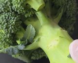炙りチーズの舞茸ピザ作り方2写真