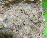 食べてびっくり!餃子風メンチカツ作り方5写真