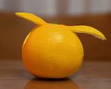 厚皮をスッキリ剥いて＊はっさくパーティー作り方6写真