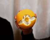 厚皮をスッキリ剥いて＊はっさくパーティー作り方7写真