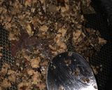 Bestビーフウイリングトン２０２０作り方3写真