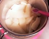 晩白柚漬作り方4写真