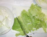 ビタミン粕鍋♪簡単酒粕漢方食養生作り方4写真