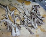 絶対旨い香茸（コウタケ）のクリームパスタ作り方3写真