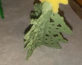 チョコペン♪クリスマスケーキに立体ツリー作り方9写真