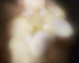 狭山産の里芋ポタージュ作り方2写真
