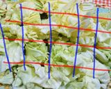 キャベツのざく切り(芯取り)ஐ♡*作り方11写真