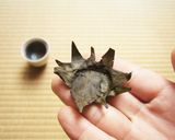 食べれる唐辛子の葉器 ＆ 塩昆布おにぎり作り方3写真