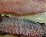 鯛の昆布じめ作り方7写真