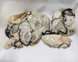 牡蛎とほうれん草のクリームパスタ作り方1写真