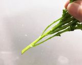 簡単一品 竹輪に春菊 詰めちゃいました作り方2写真
