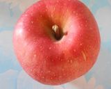 簡単リンゴ酢作り方1写真
