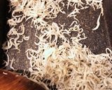 カリカリじゃことパクチー、大根のサラダ作り方1写真
