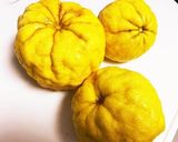 Shishiyuzu marmalade作り方1写真