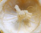 柚子の花かご(おせちに)作り方4写真