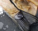鮭の粕汁作り方1写真