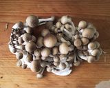 簡単ヘルシー☆牛すじとナスのトマト煮込み作り方4写真