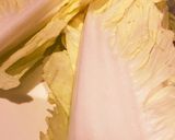 男飯★簡単！豚肉白菜の親父ミルフィーユ鍋作り方2写真