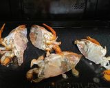 「極旨」アサヒガニ(焼き)作り方6写真