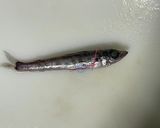 「珍味」アオメエソ(メヒカリ)の煮物作り方3写真