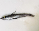 アオメエソ（メヒカリ）唐揚げと甘酢餡かけ作り方1写真