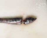 アオメエソ（メヒカリ）唐揚げと甘酢餡かけ作り方3写真