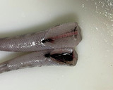 アオメエソ（メヒカリ）唐揚げと甘酢餡かけ作り方5写真