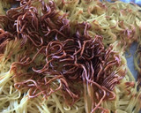 サクサク！とろ〜り！あんかけ焼きそば作り方3写真