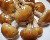 6種天然キノコとクレソンの超絶新春うどん作り方4写真