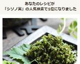紫蘇の実の塩漬け☆作り方11写真