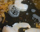 リカちゃん♡揚げ焼き餅*するめ出汁餡かけ作り方16写真