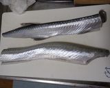 ダツの刺身作り方4写真