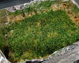 おせち⏹️2色松風焼き(桜えび&青のり)作り方14写真