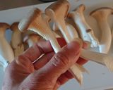 エリンギステーキ作り方4写真