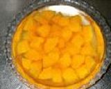 食欲のないときのぷるぷるゼリー作り方5写真