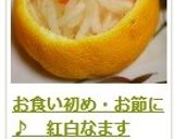 お食い初め・お節に♪　紅白なます作り方15写真