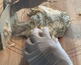 【生食パン】ふわふわモチモチの手作りパン作り方4写真