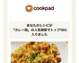 残りご飯とカレー粉で絶品簡単カレーピラフ作り方7写真