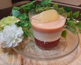 野菜ジュースとヨーグルトの3層ゼリー作り方12写真